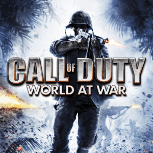 Call of Duty: World at War - Steam Offline